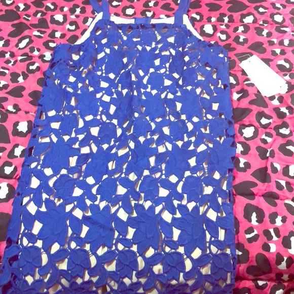 Blue Dress Never Worn! - Picture 1 of 4